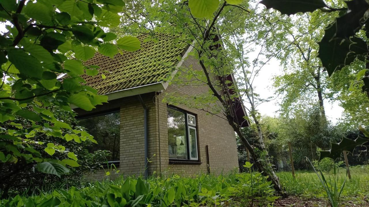 Vechtdalhuisje 17 Ommen Dış mekan fotoğraf